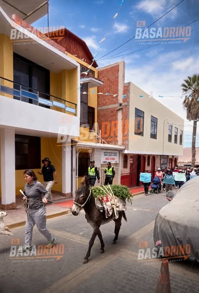 ADVIERTE DESCONOCER ADJUDICACIONES IRREGULARES